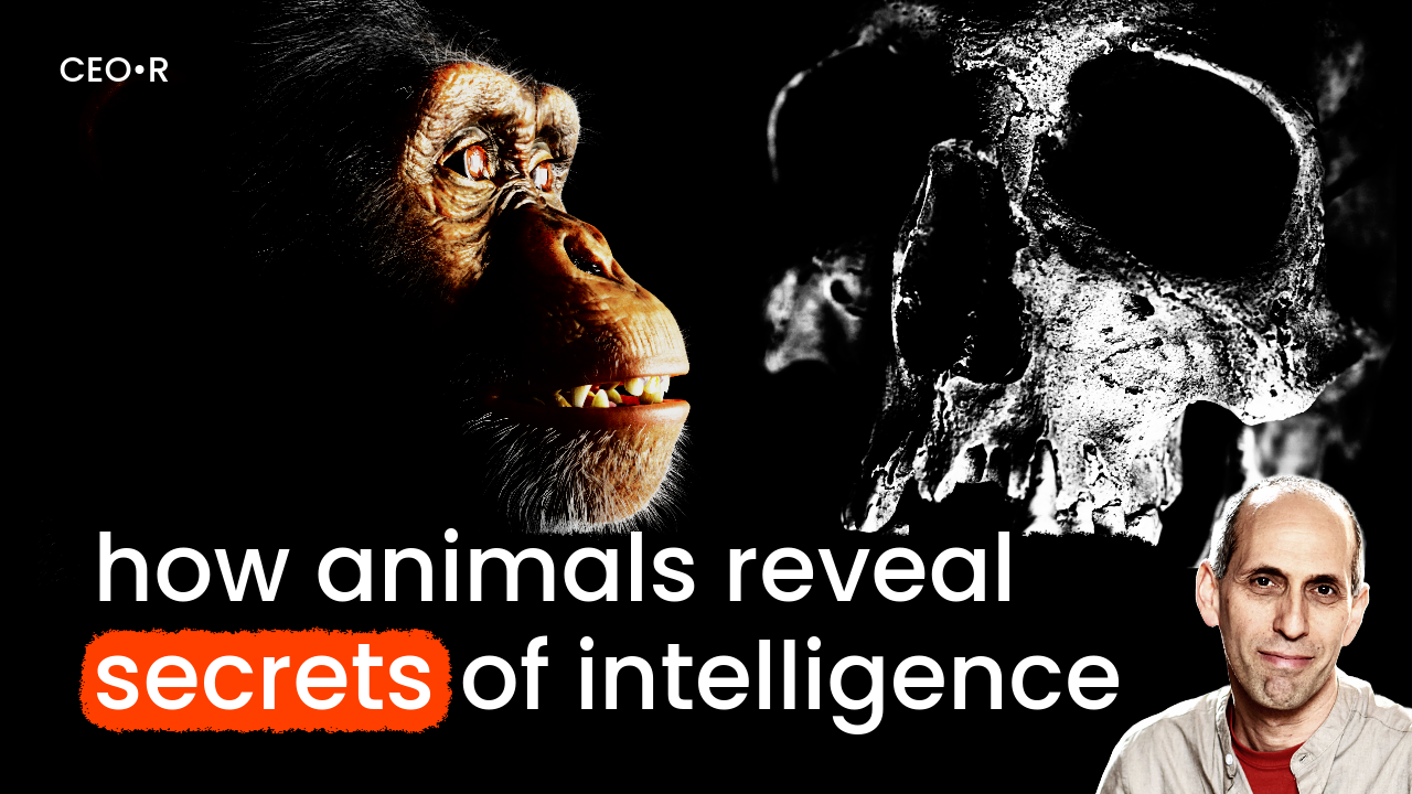 Arik Kershenbaum: How animals reveal secrets of our intelligence -- The CEO Retort